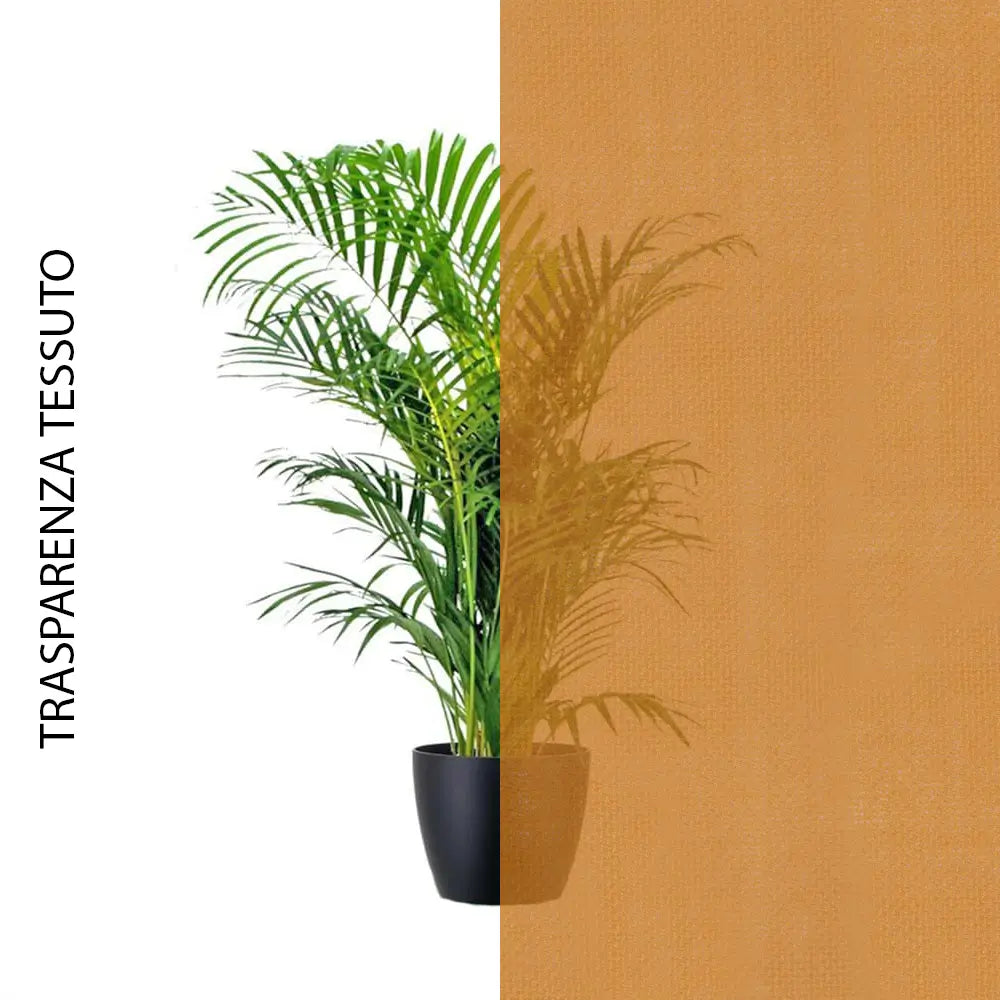 Arancione