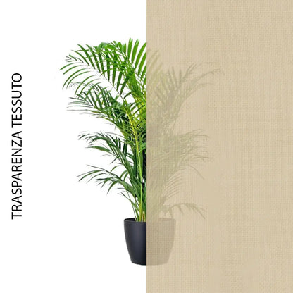 BeigeScuro