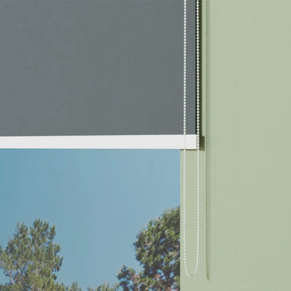 Grigio1