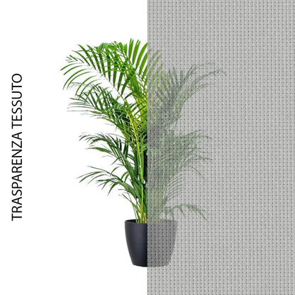 grigio-grigio