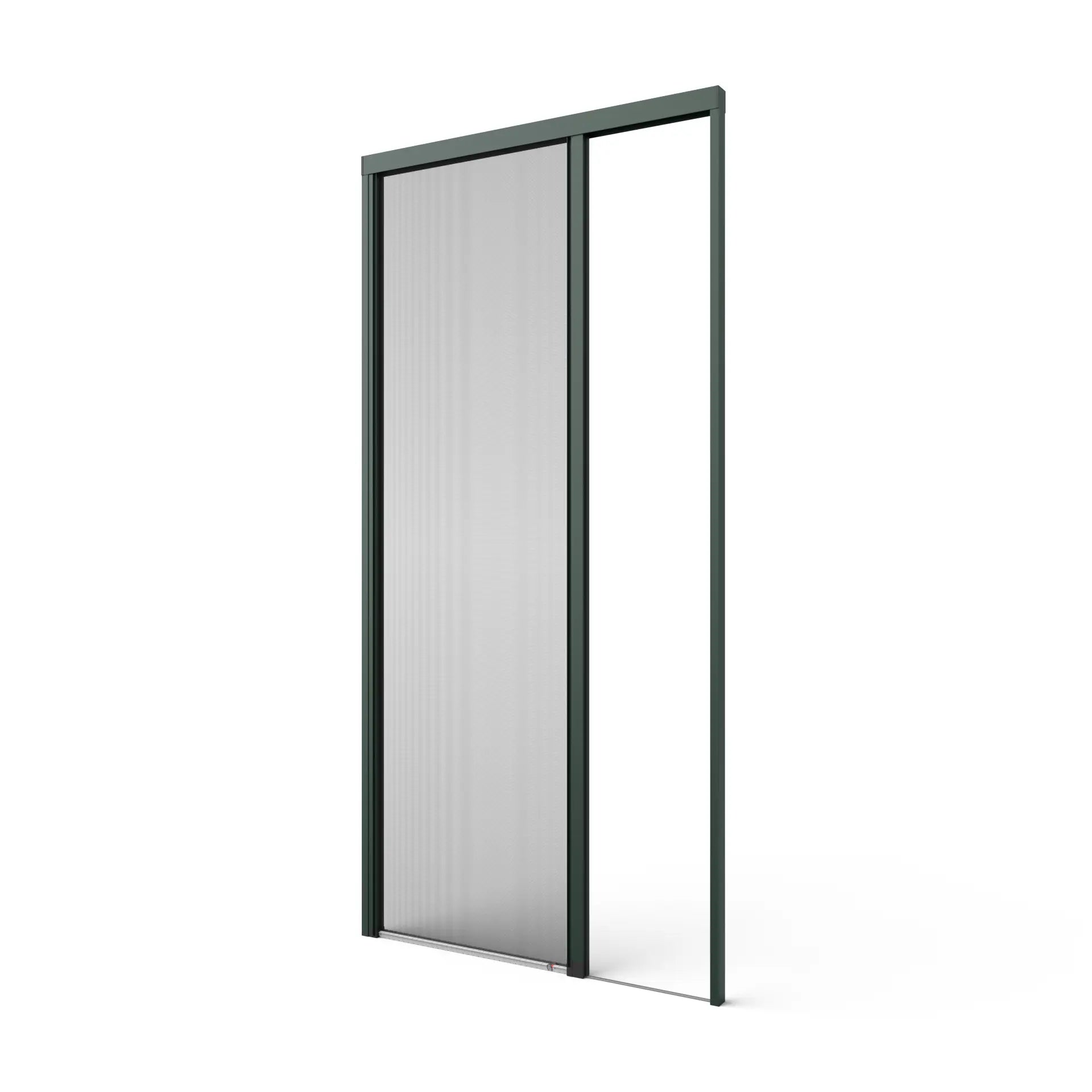 RAL6009