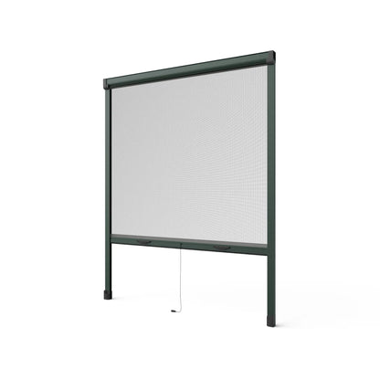 RAL6009